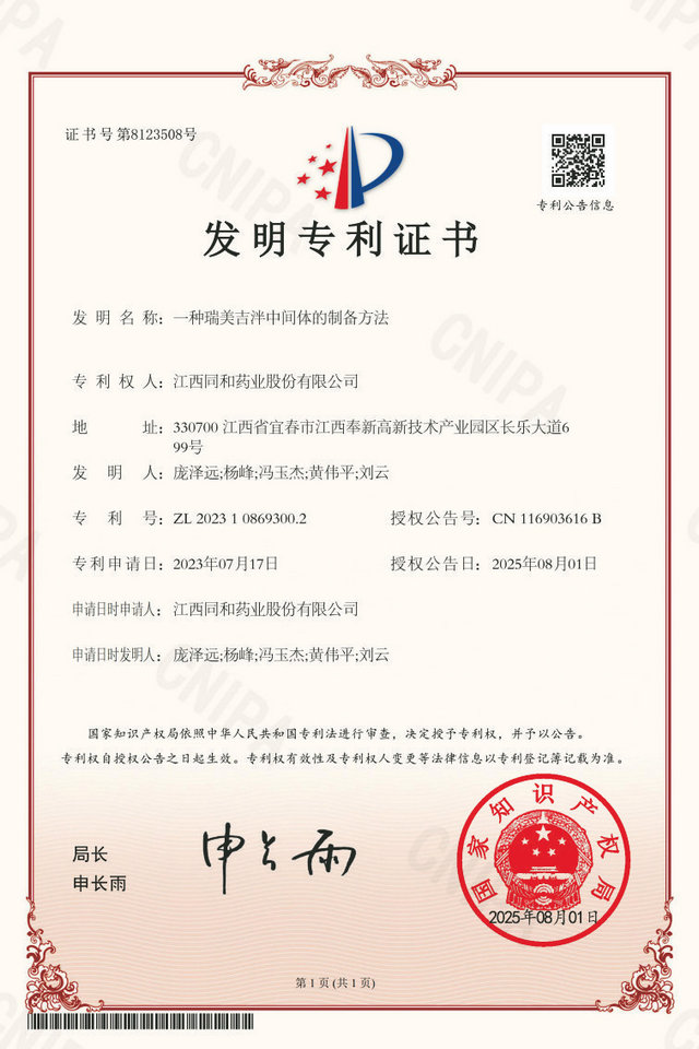 公司专利