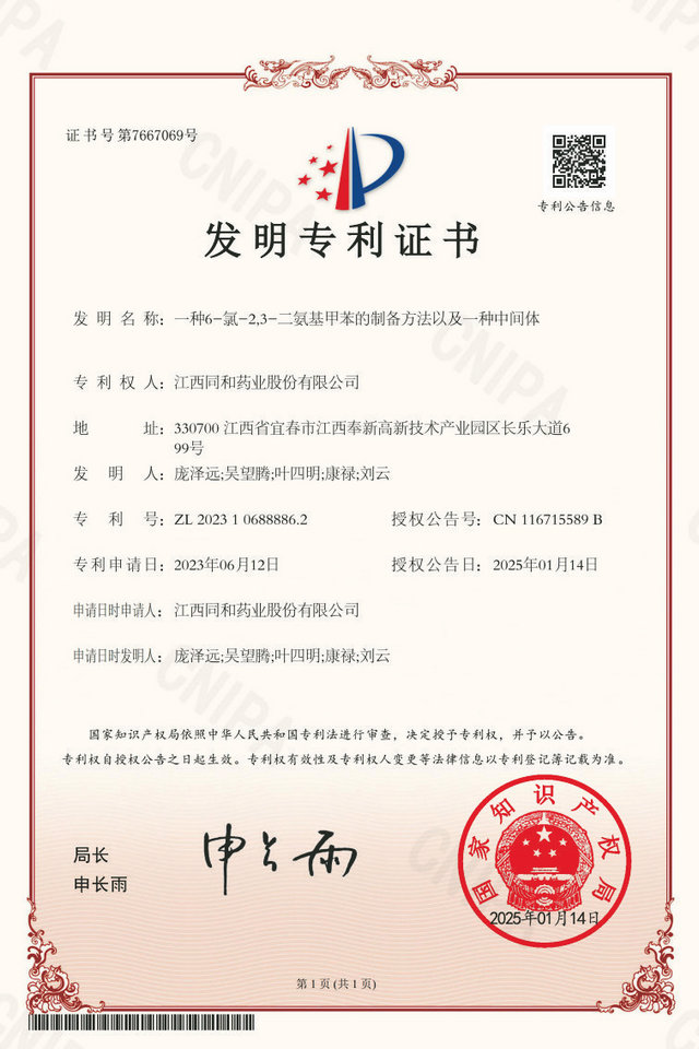 公司专利