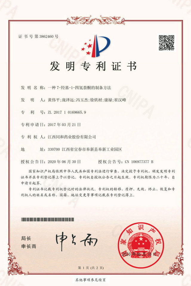 公司专利