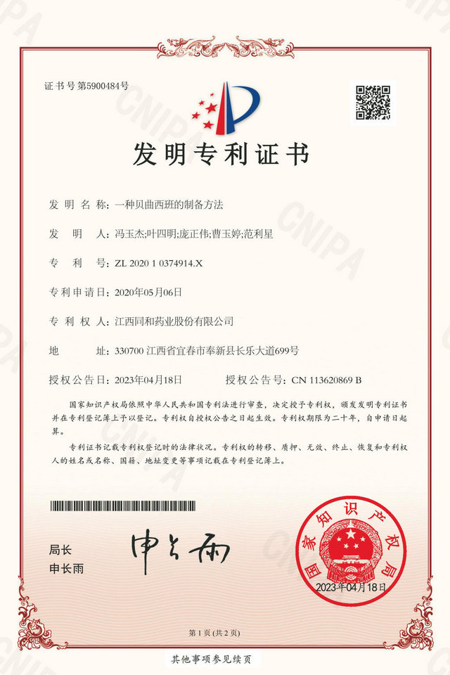 公司专利