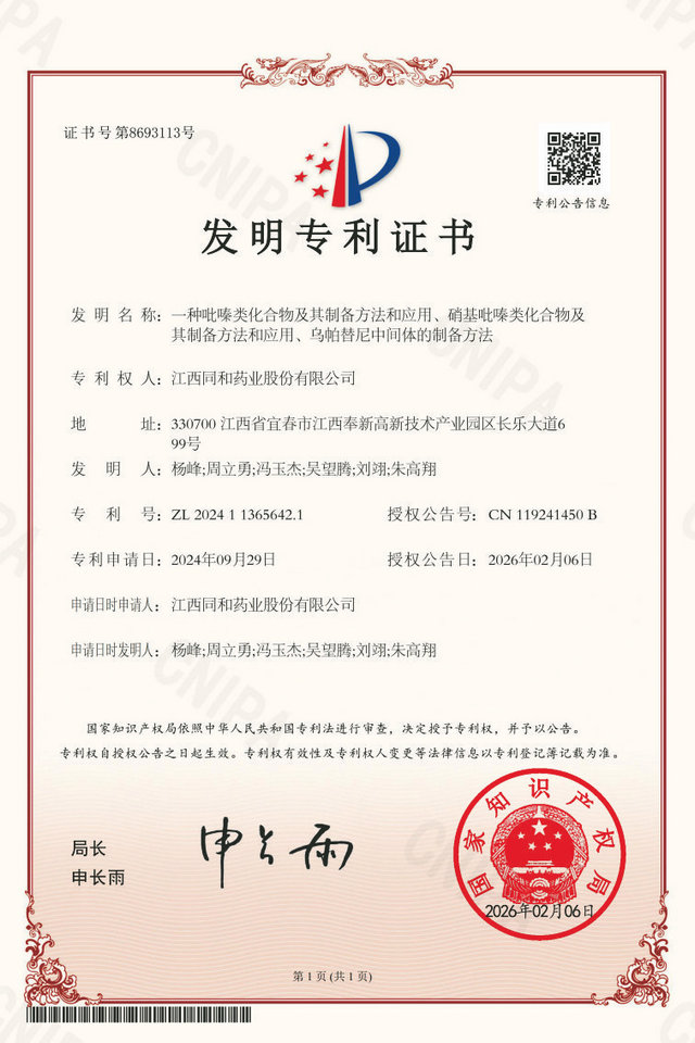 公司专利