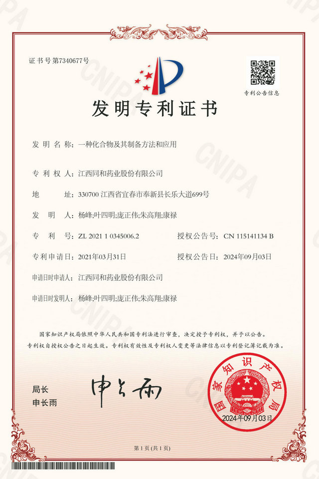 公司专利