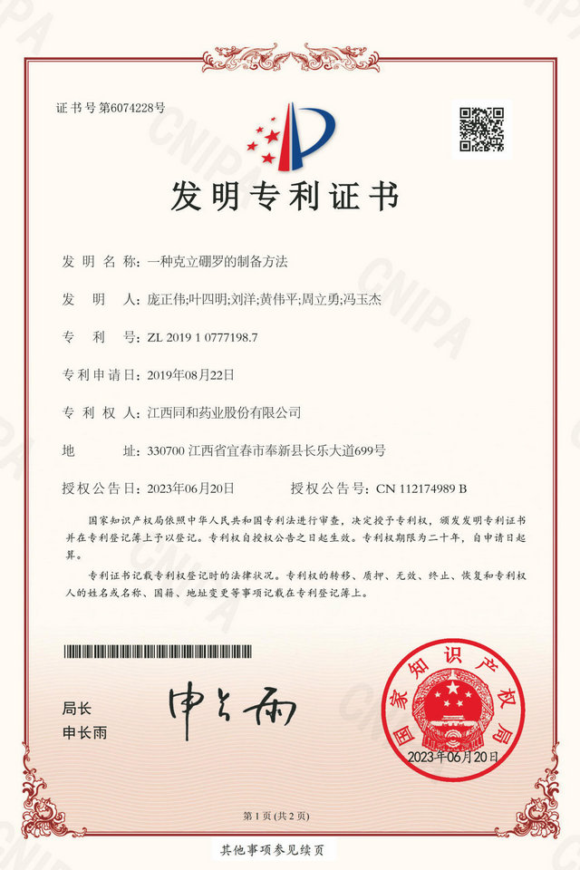 公司专利