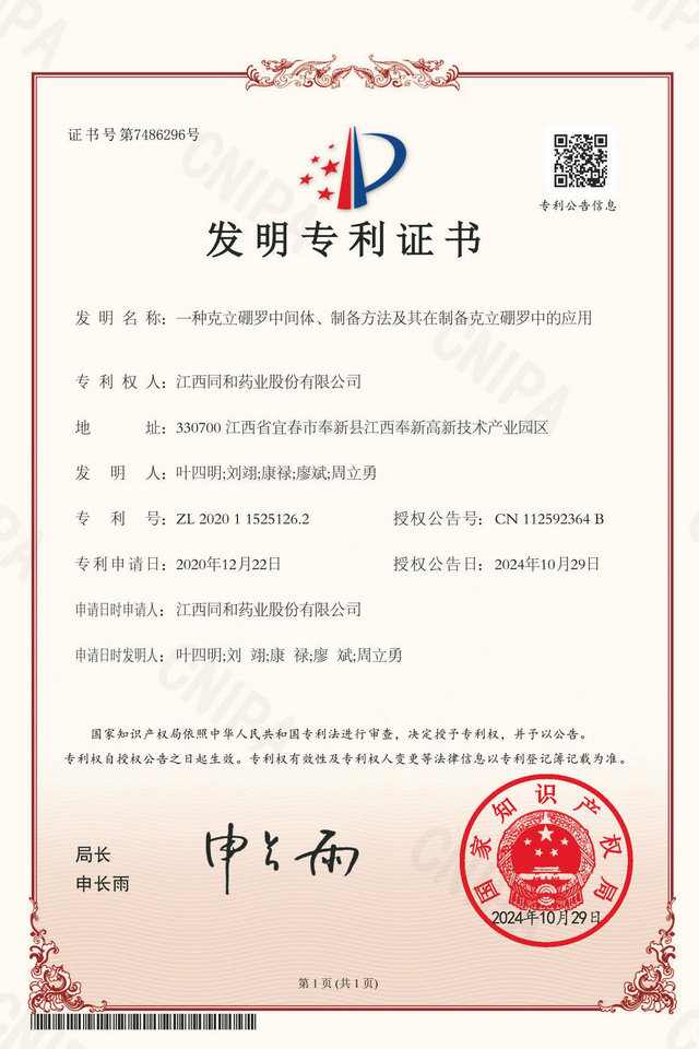 公司专利
